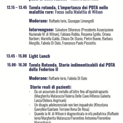 Programma della giornata, parte II