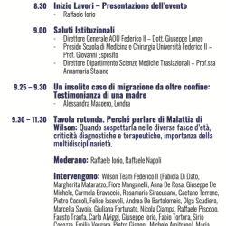 Programma della giornata, parte I