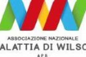 14&deg; Convegno is coming...